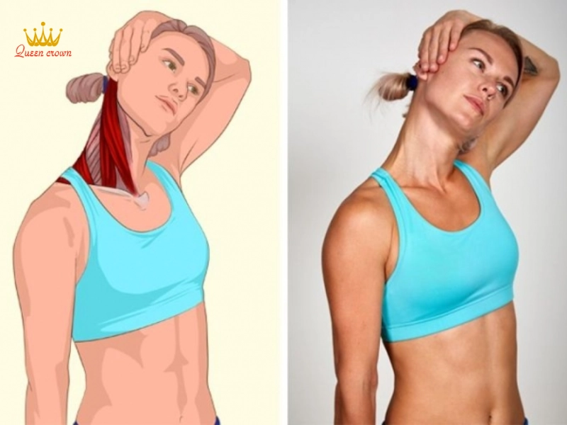 Các động tác kéo giãn giúp tăng cường sự dẻo dai cho cơ thể