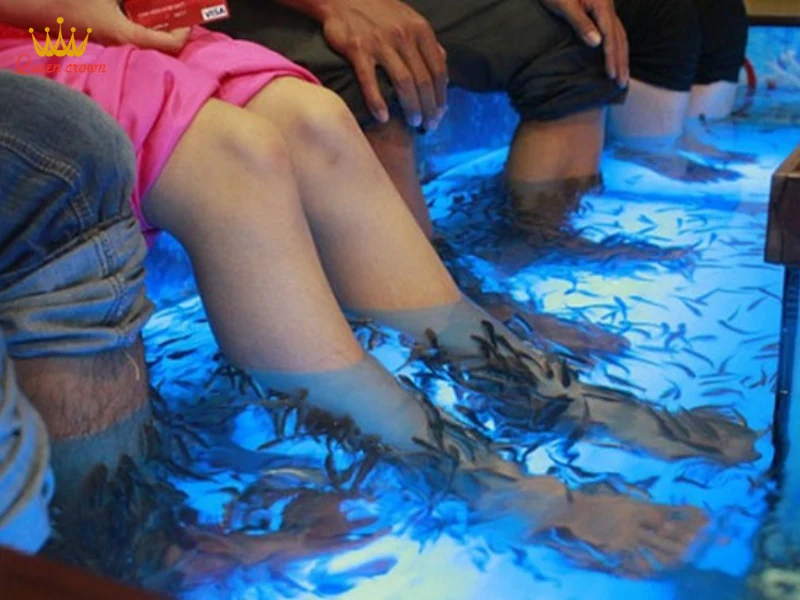 Ưu điểm vượt trội khi sử dụng liệu pháp cá massage
