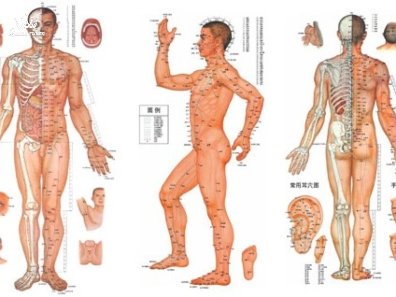 Ghế massage Queen Crown: Giải pháp massage huyệt đạo tại nhà
