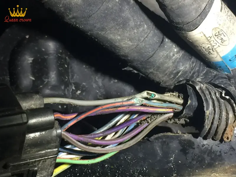 Xử lý khẩn cấp khi phát hiện ghế massage bị chuột cắn dây