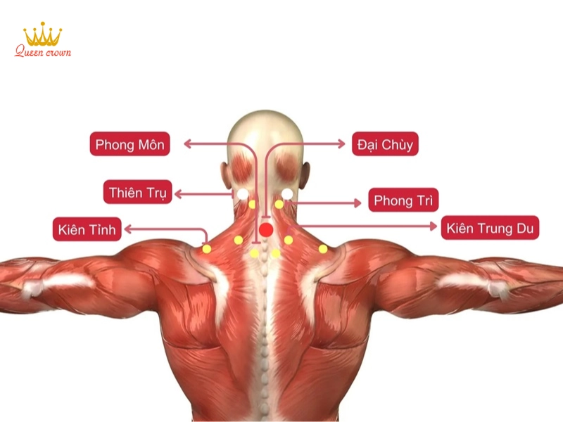 Theo dõi vị trí huyệt đạo trên bản đồ giúp xác định đúng vị trí