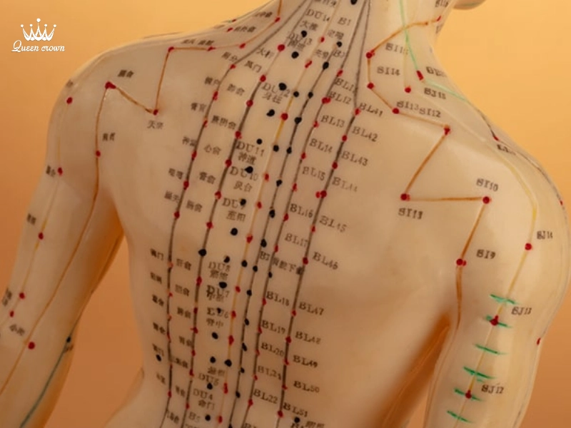Huyệt đạo là những vị trí đặc biệt trên cơ thể