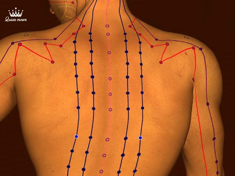 Tìm Hiểu Các Huyệt Đạo Chính Và Công Dụng Của Chúng Trong Massage Y Học Cổ Truyền