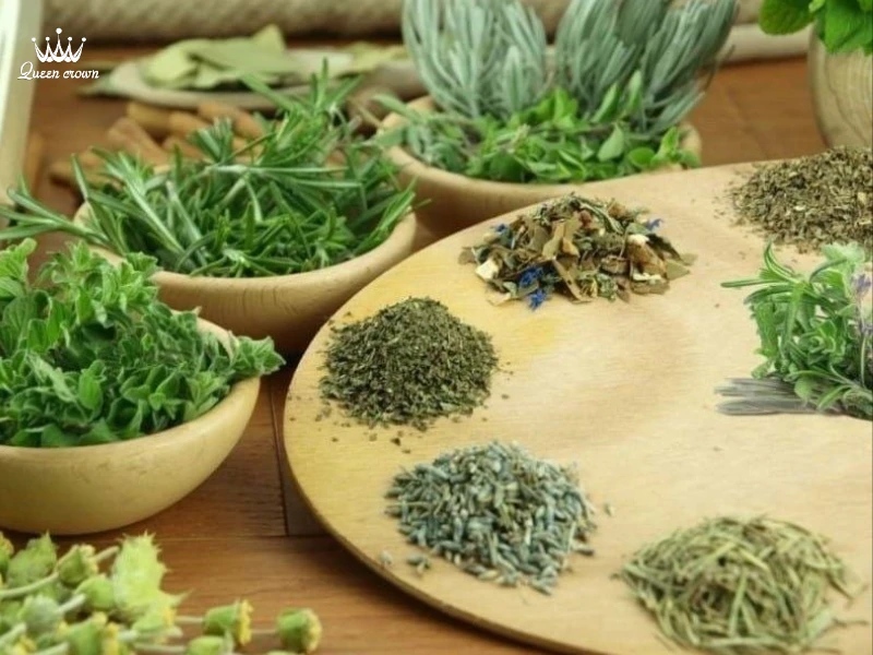 Tìm Hiểu Các Loại Dược Thảo Thường Dùng Trong Massage Y Học Cổ Truyền 