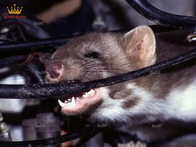 Nguyên nhân chính khiến ghế massage bị rò điện