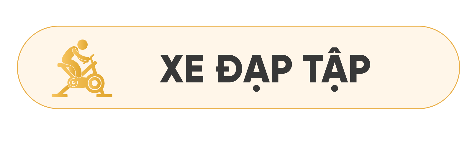 Xe Đạp Tập