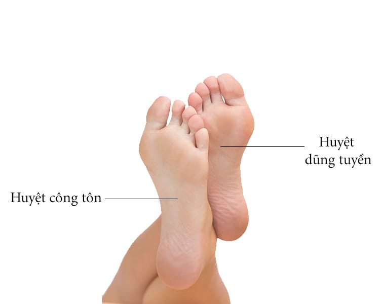 Huyệt Dũng Tuyền và những tác dụng tuyệt vời mà bạn chưa biết 2 Huyệt Dũng Tuyền