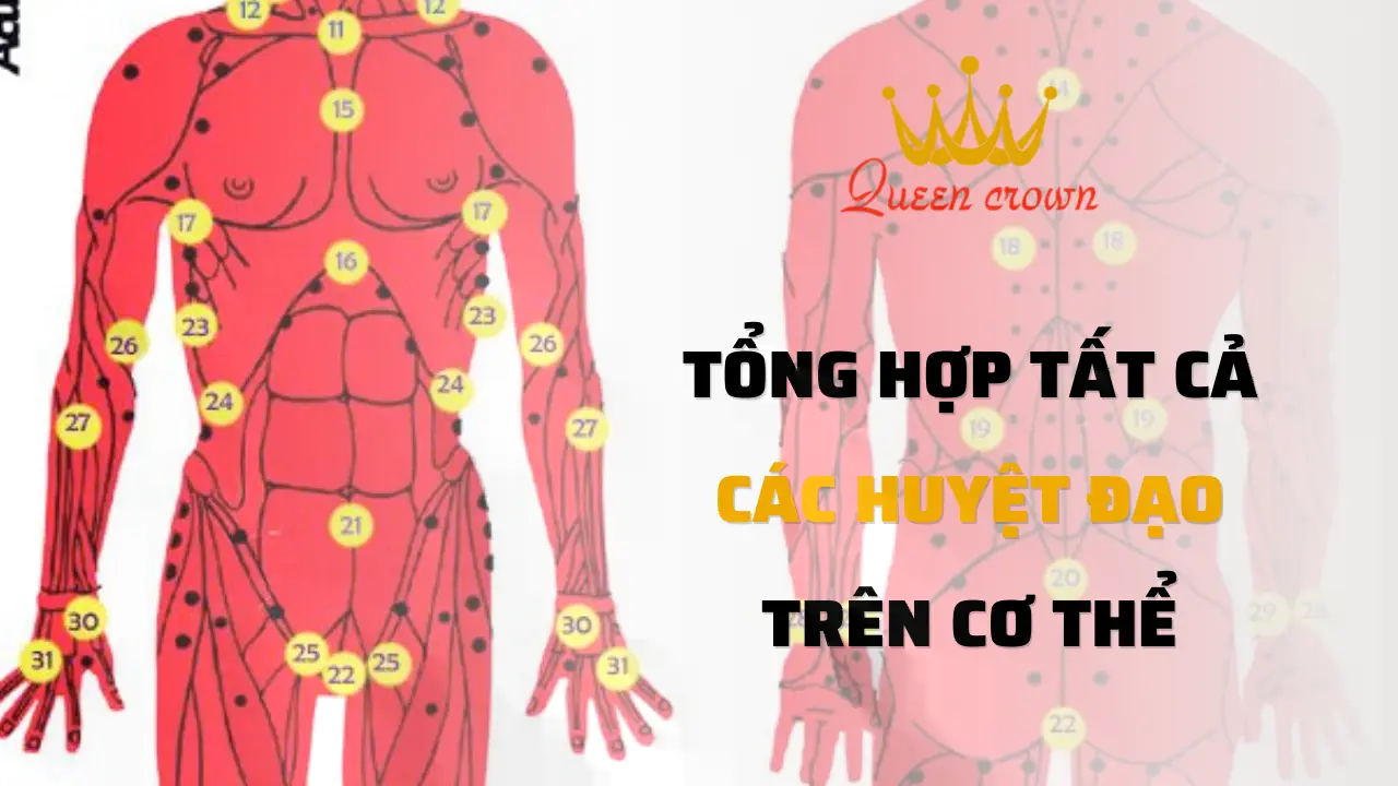 Huyệt đạo phần đầu, cổ nằm ở vị trí nào trên cơ thể?
