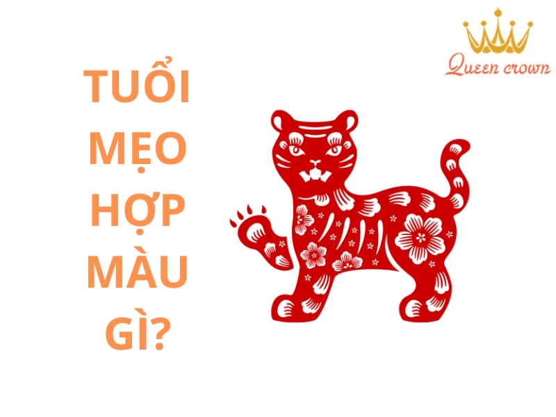 Tuổi Mẹo Hợp Màu Gì? Màu Phong Thủy Hợp Mệnh Cho Tuổi Mẹo